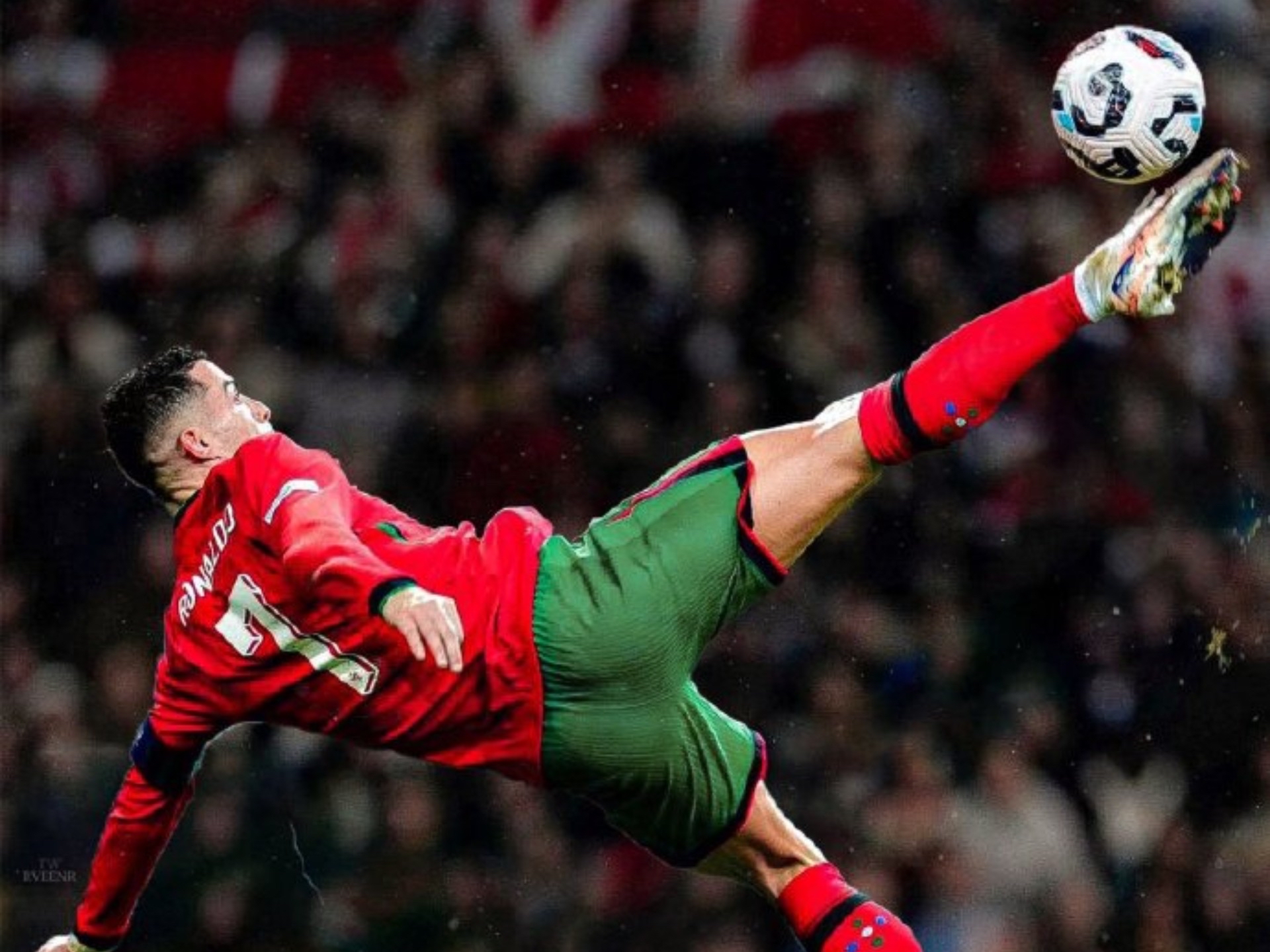 葡萄牙vs爱尔兰全场录像